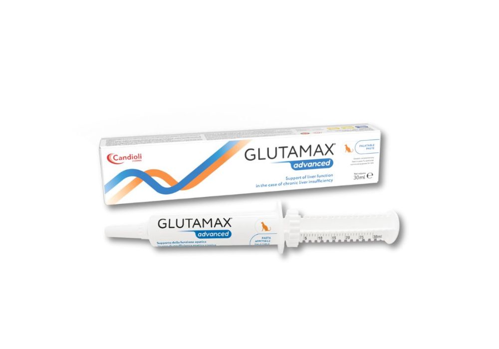GlutaMax Advanced pasta 30ml