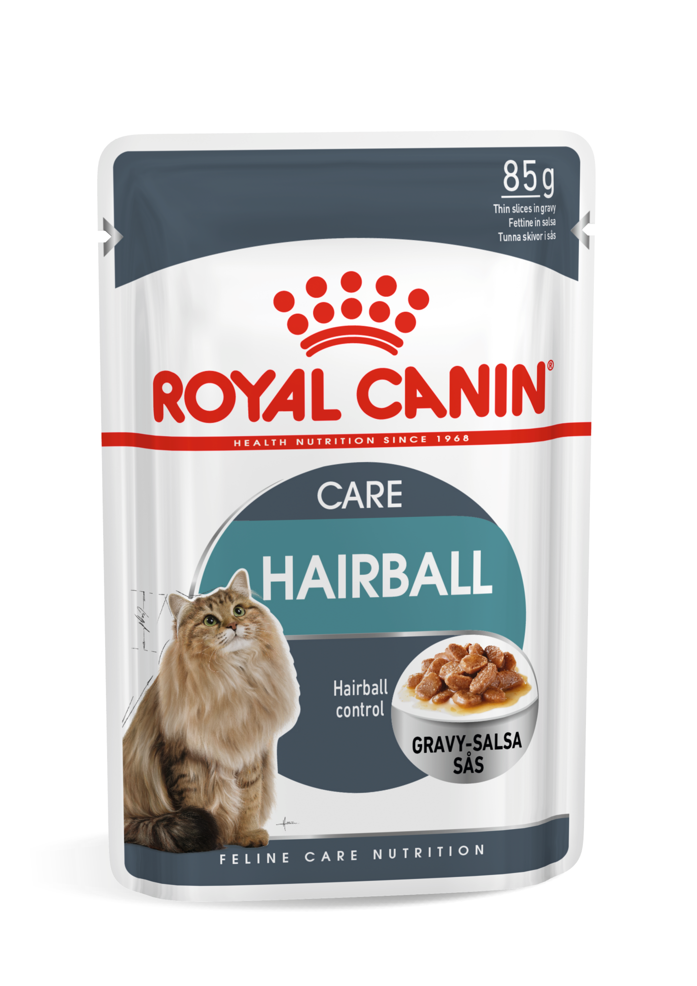 HAIRBALL CARE IN GRAVY 85g