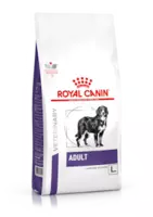 VHN ADULT LARGE DOG 4kg 4kg