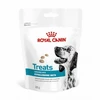 VHN Dog Hypoallergenic Treats 230g