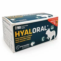 HYALORAL MEDIUM TABLETES N90