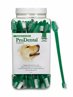 ZOBU BIRSTE AR DIVIEM GALIEM N1