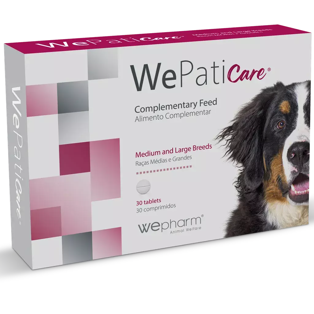 WePatic medium & large breed N30