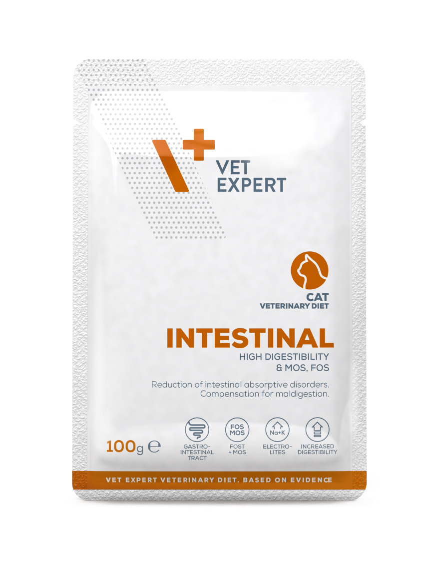 4T VD KAĶU INTESTINAL PAC 100G LIELLOPS/VISTA