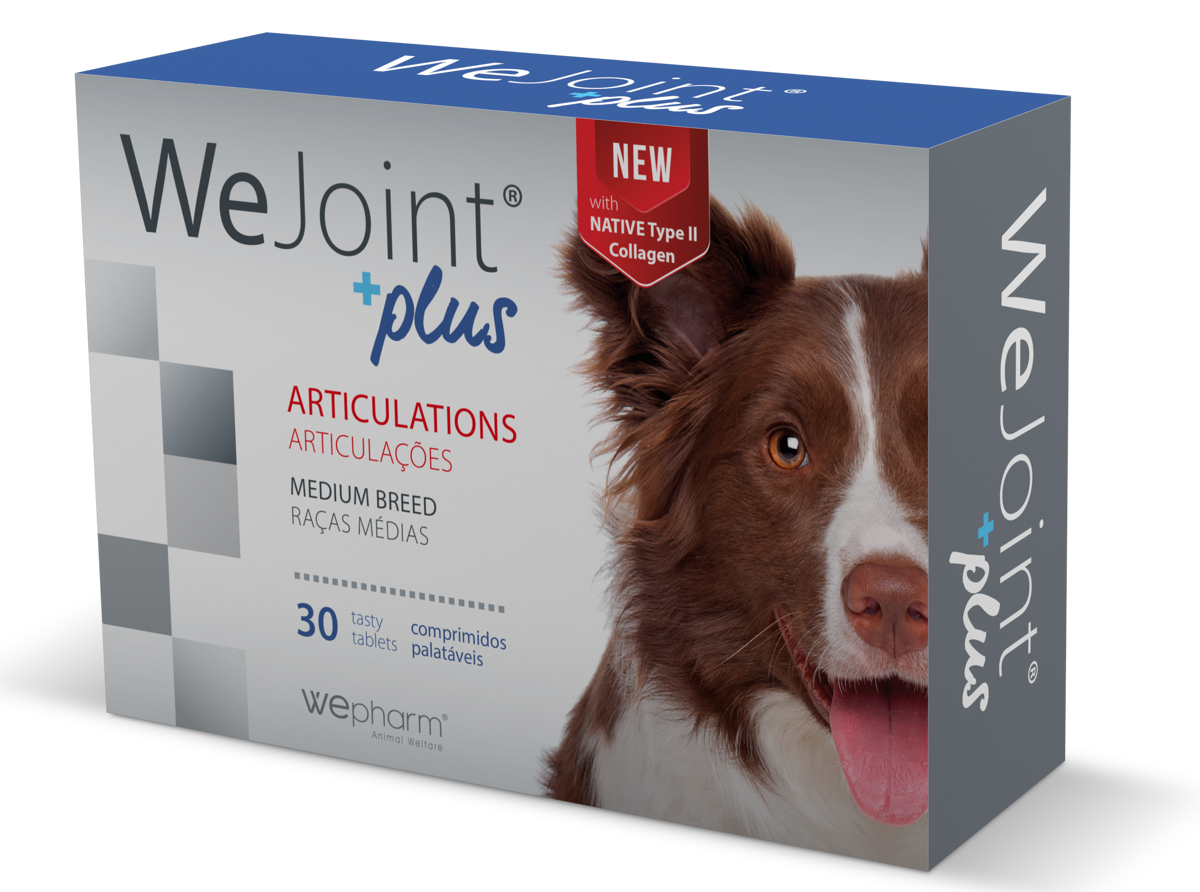 WeJoint Plus vidēja auguma suņiem, N30