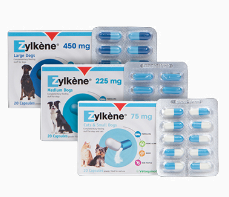 Zylkene 225 mg N1 (10 kapsulas)